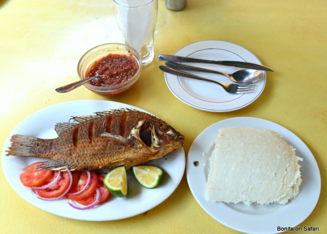 Tilapia Fry